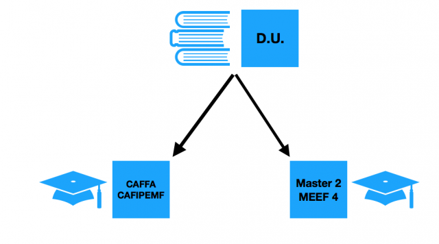 Le DU permet de préparer le CAFFA et un Master 2 MEEF4 en parallèle